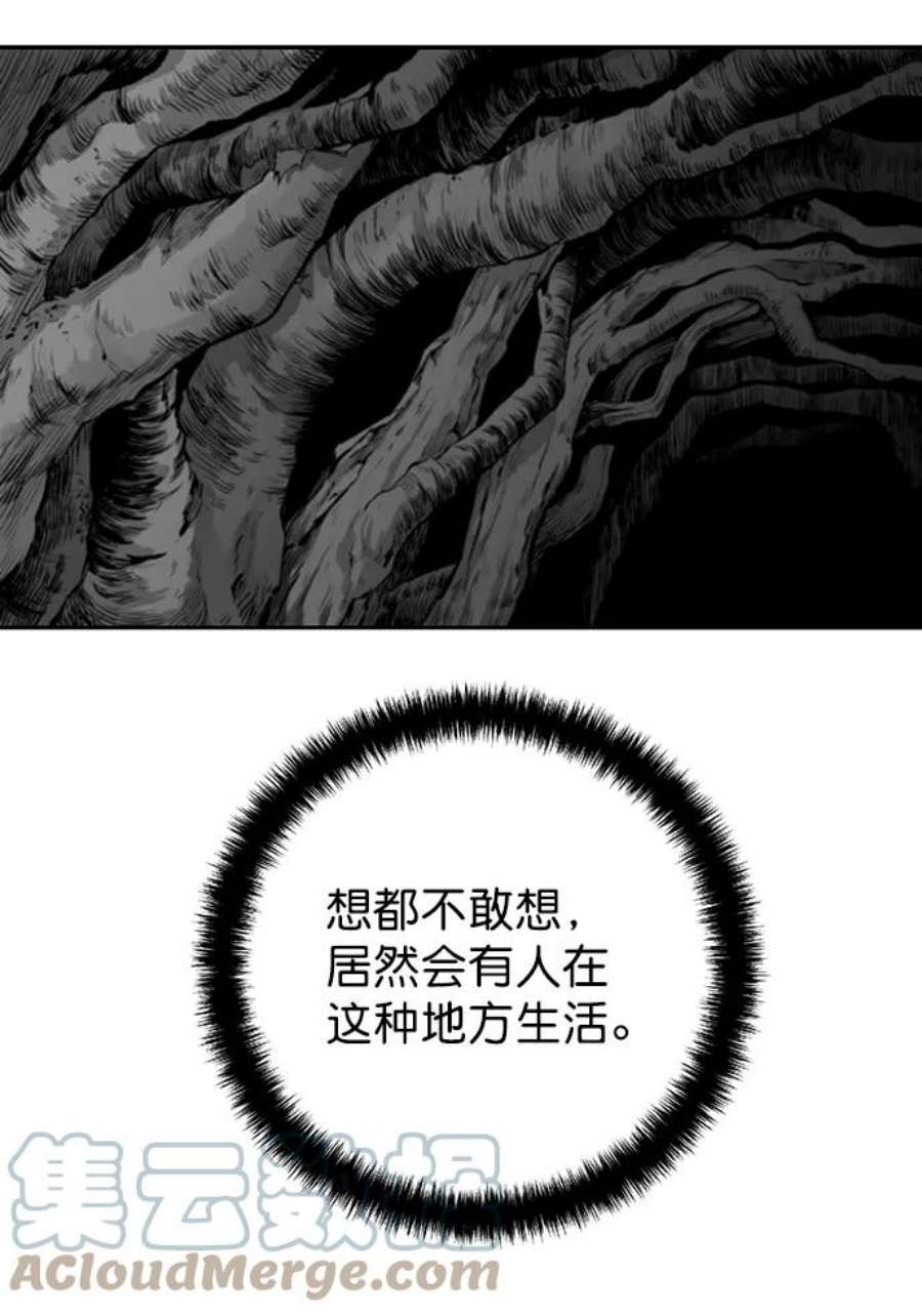 113.jpg
