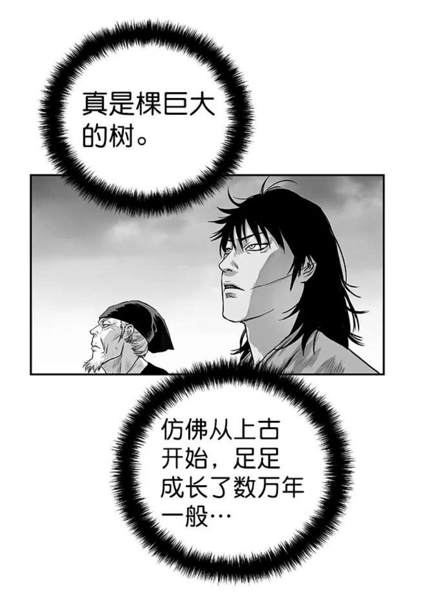 95.jpg