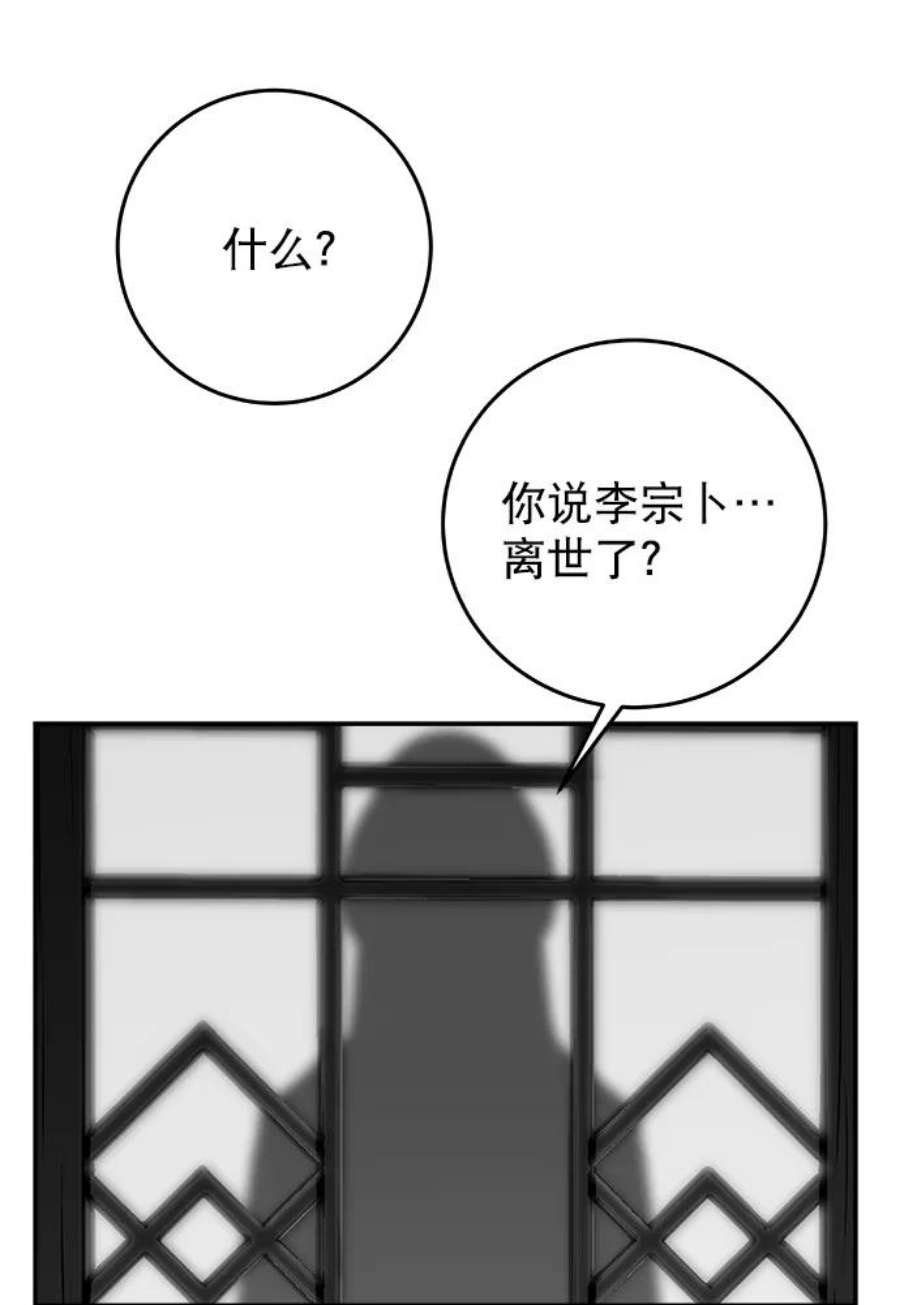 48.jpg