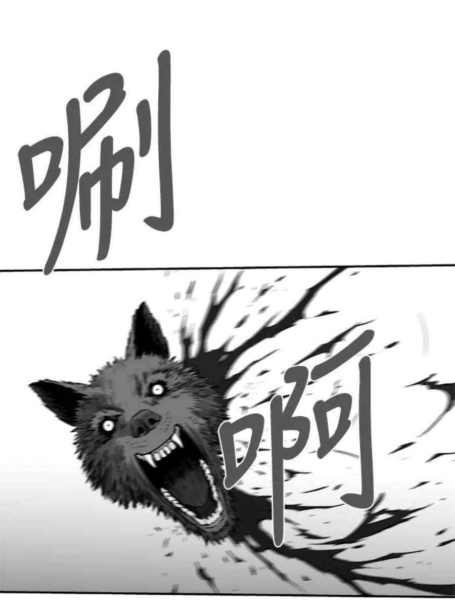 50.jpg