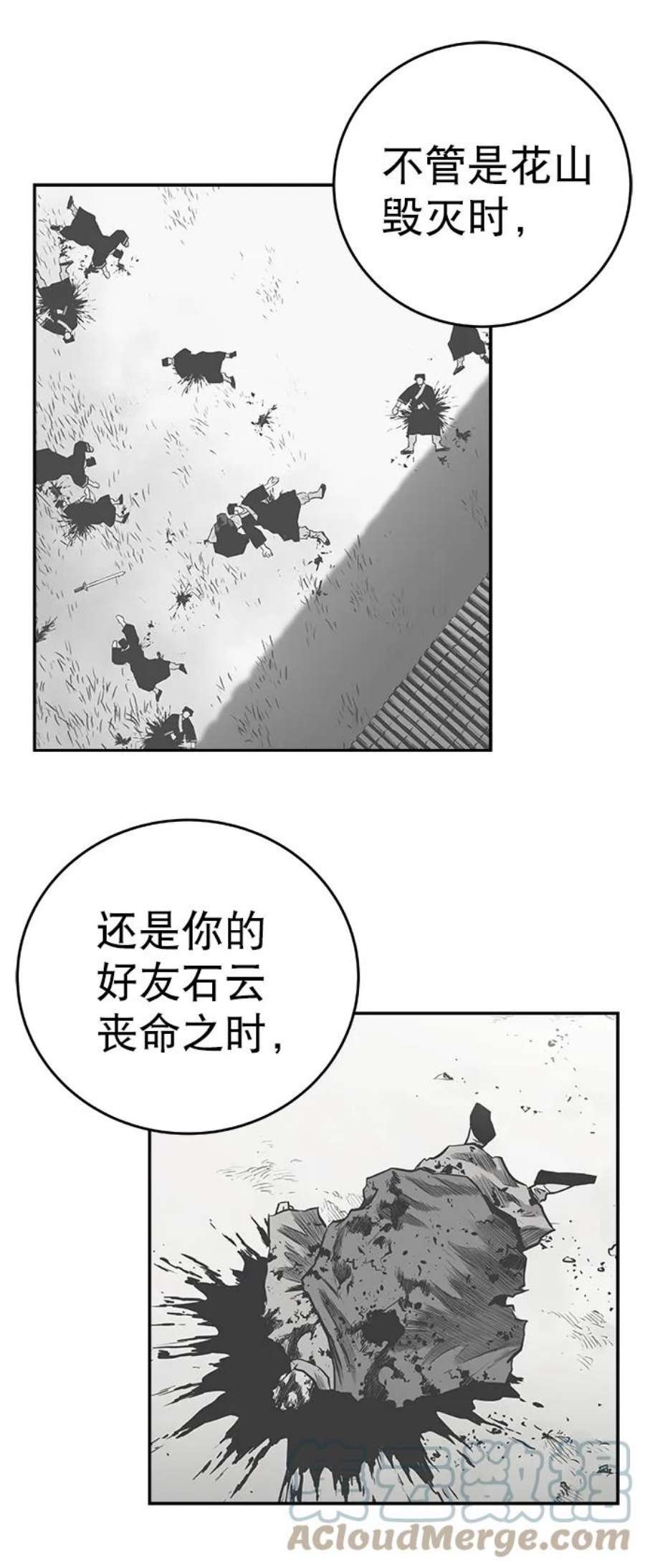 97.jpg