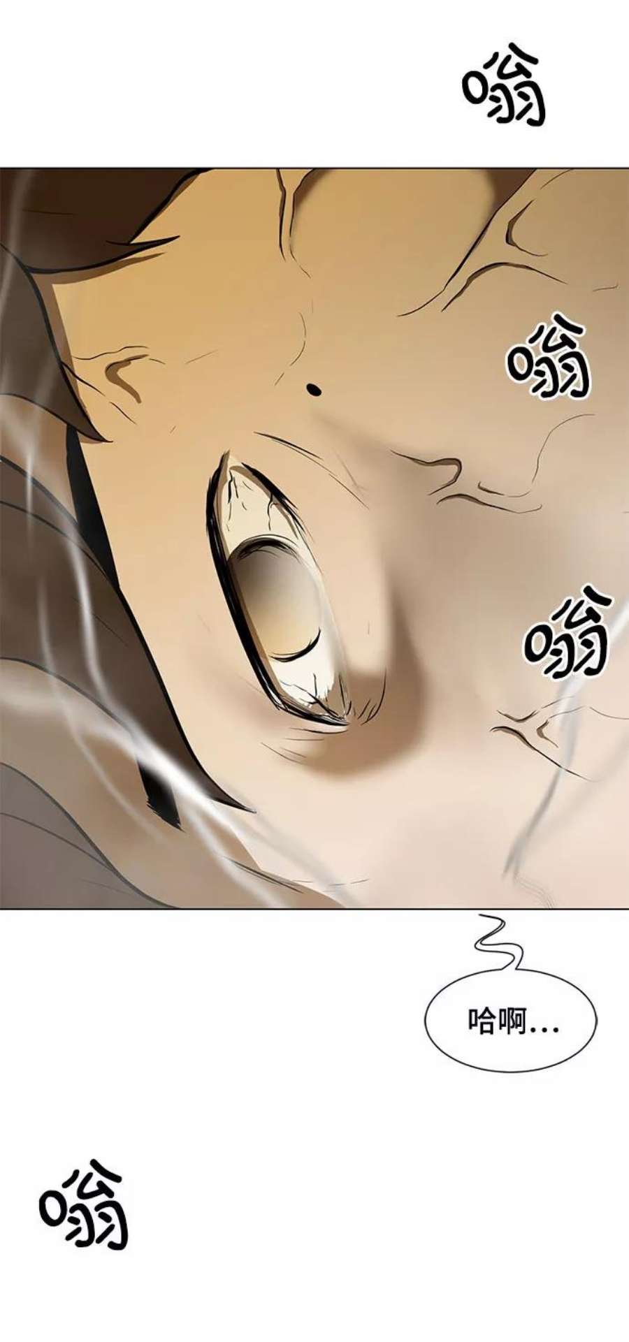 41.jpg