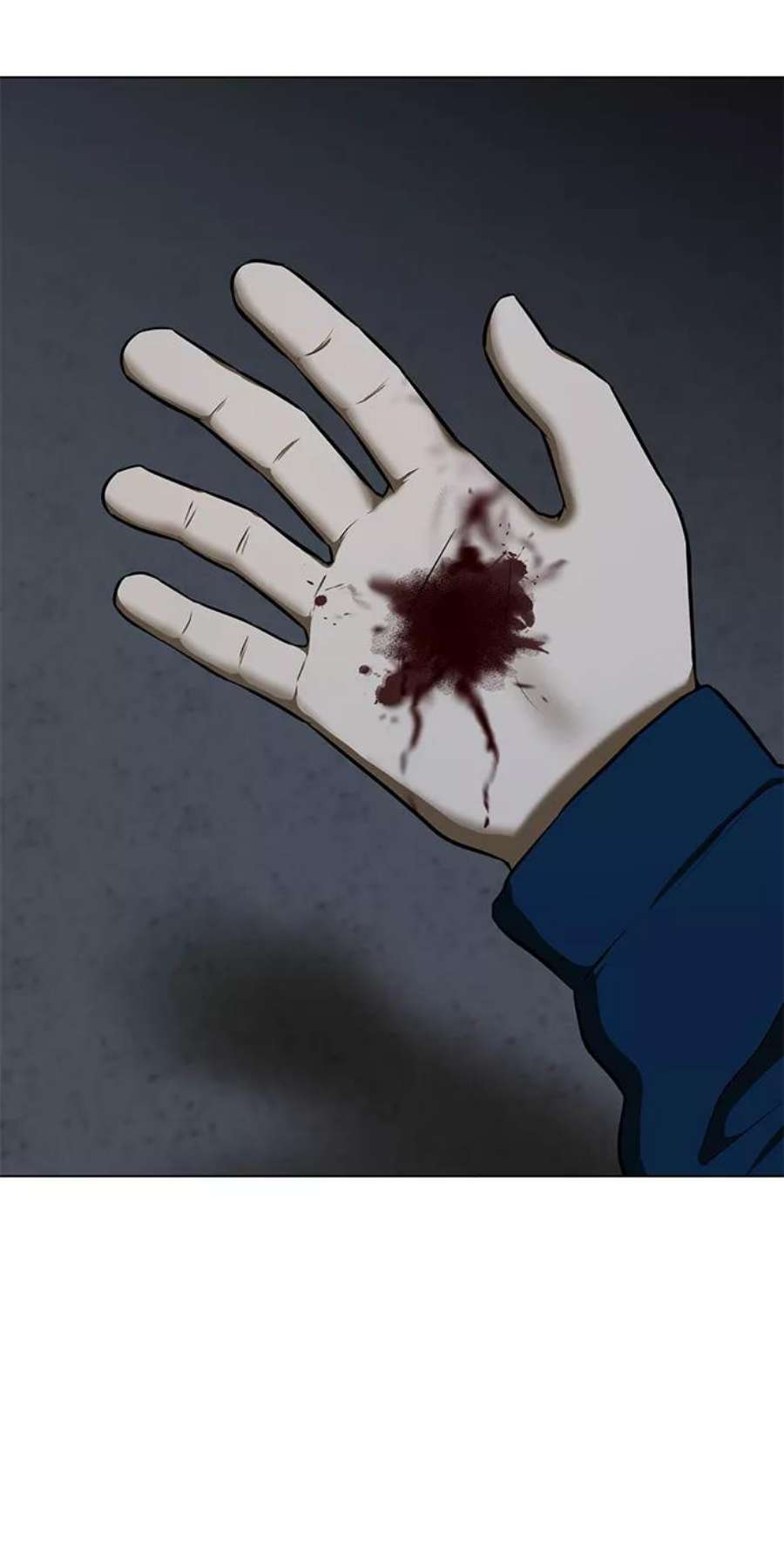 41.jpg