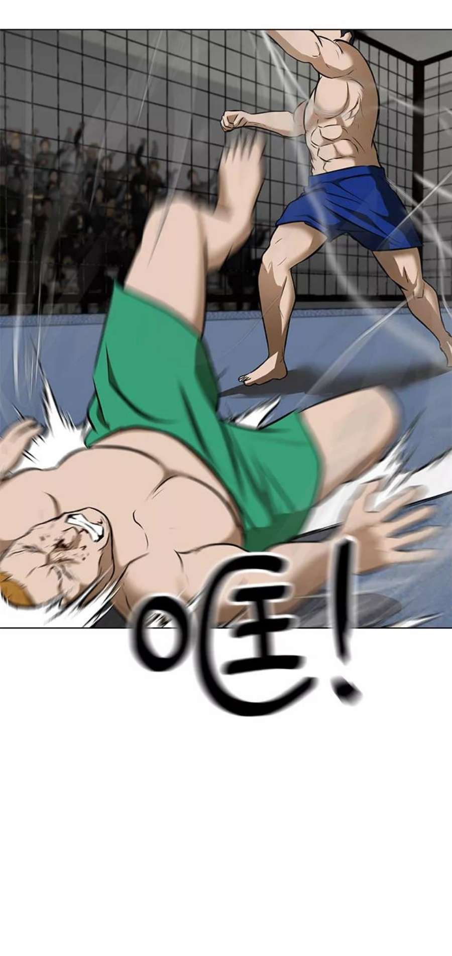 51.jpg