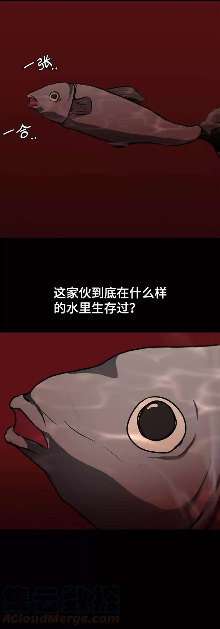 46.jpg