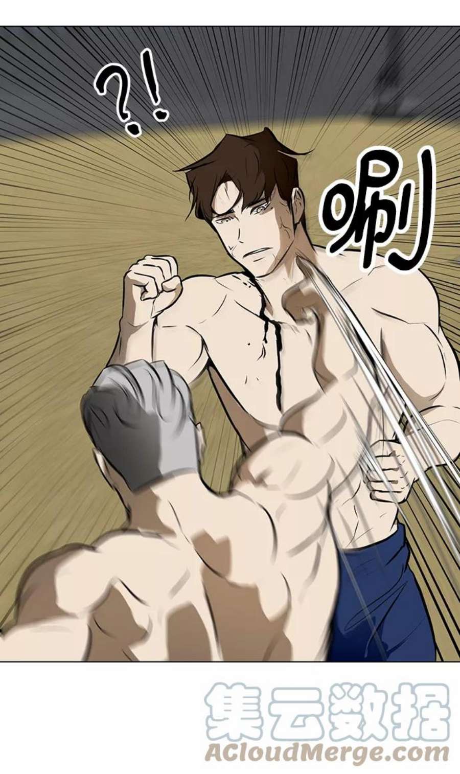 49.jpg