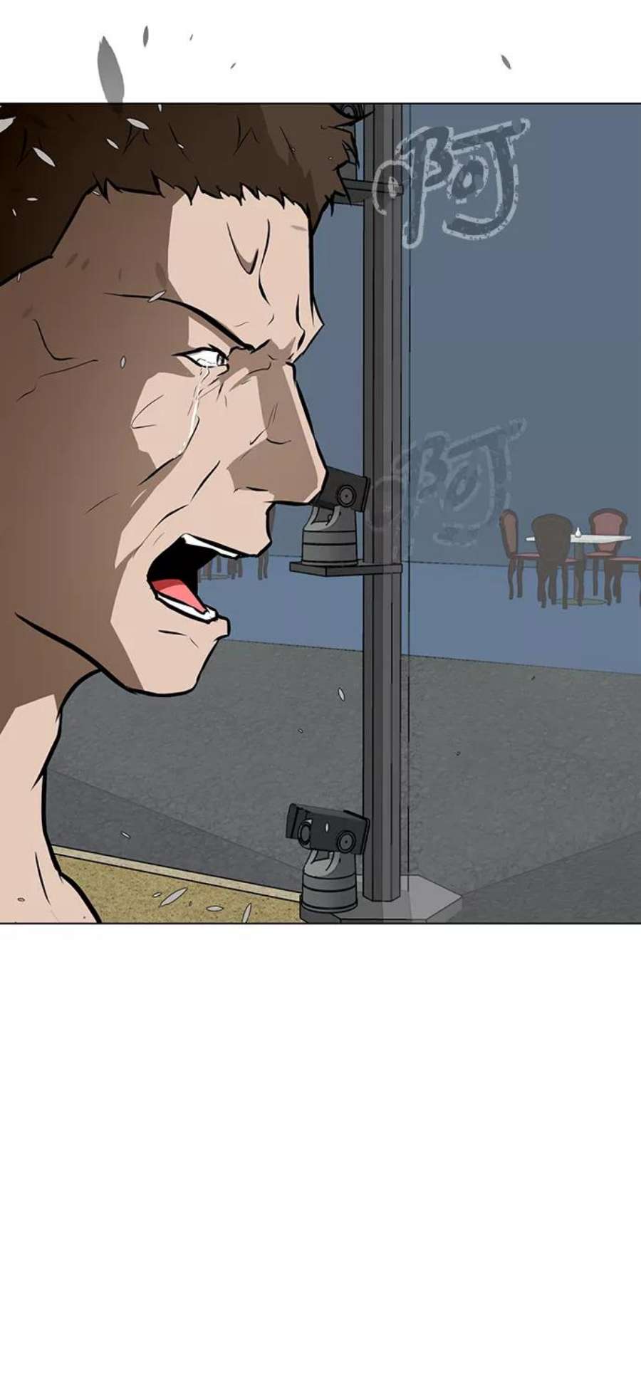 48.jpg