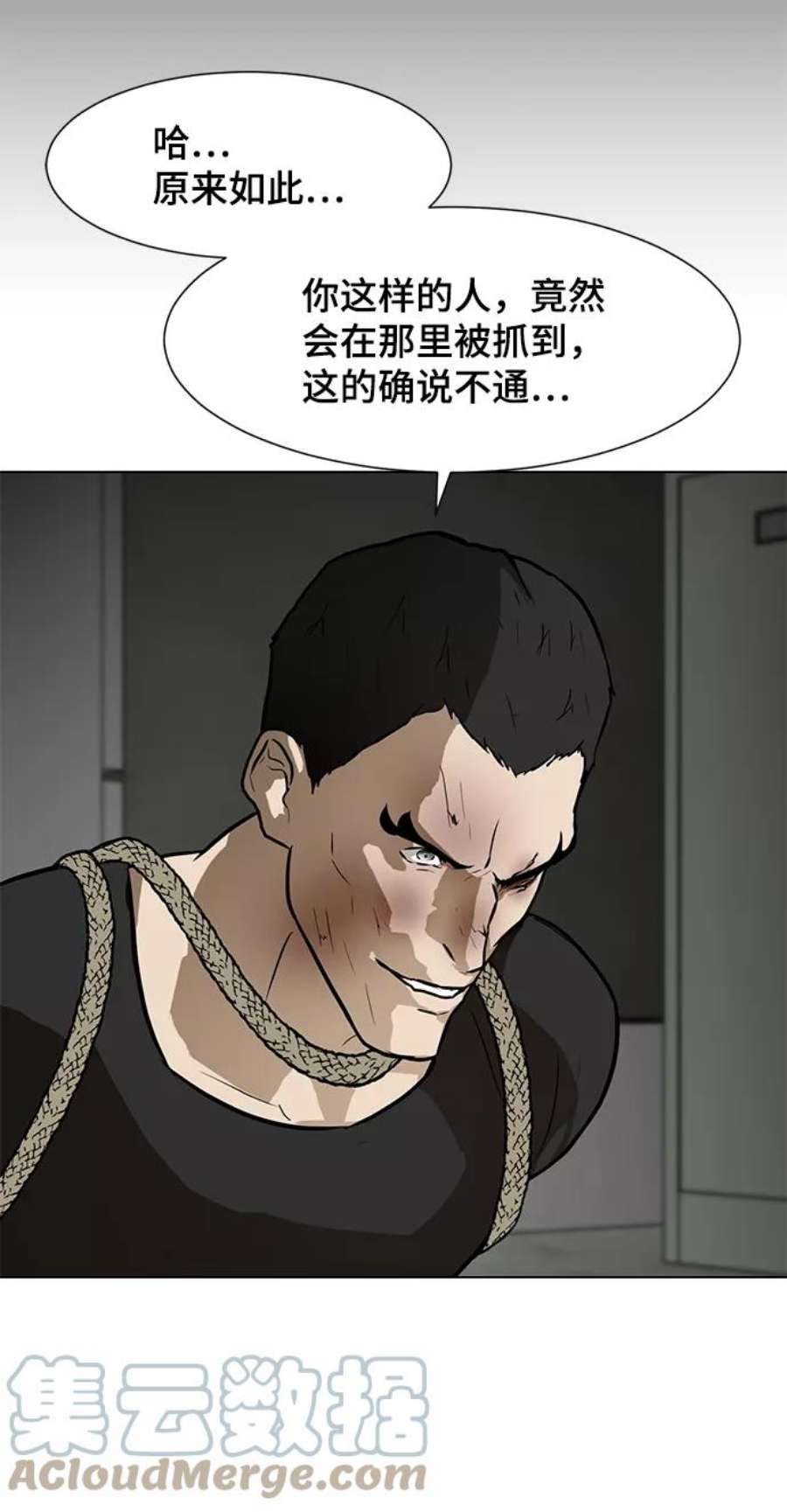 79.jpg