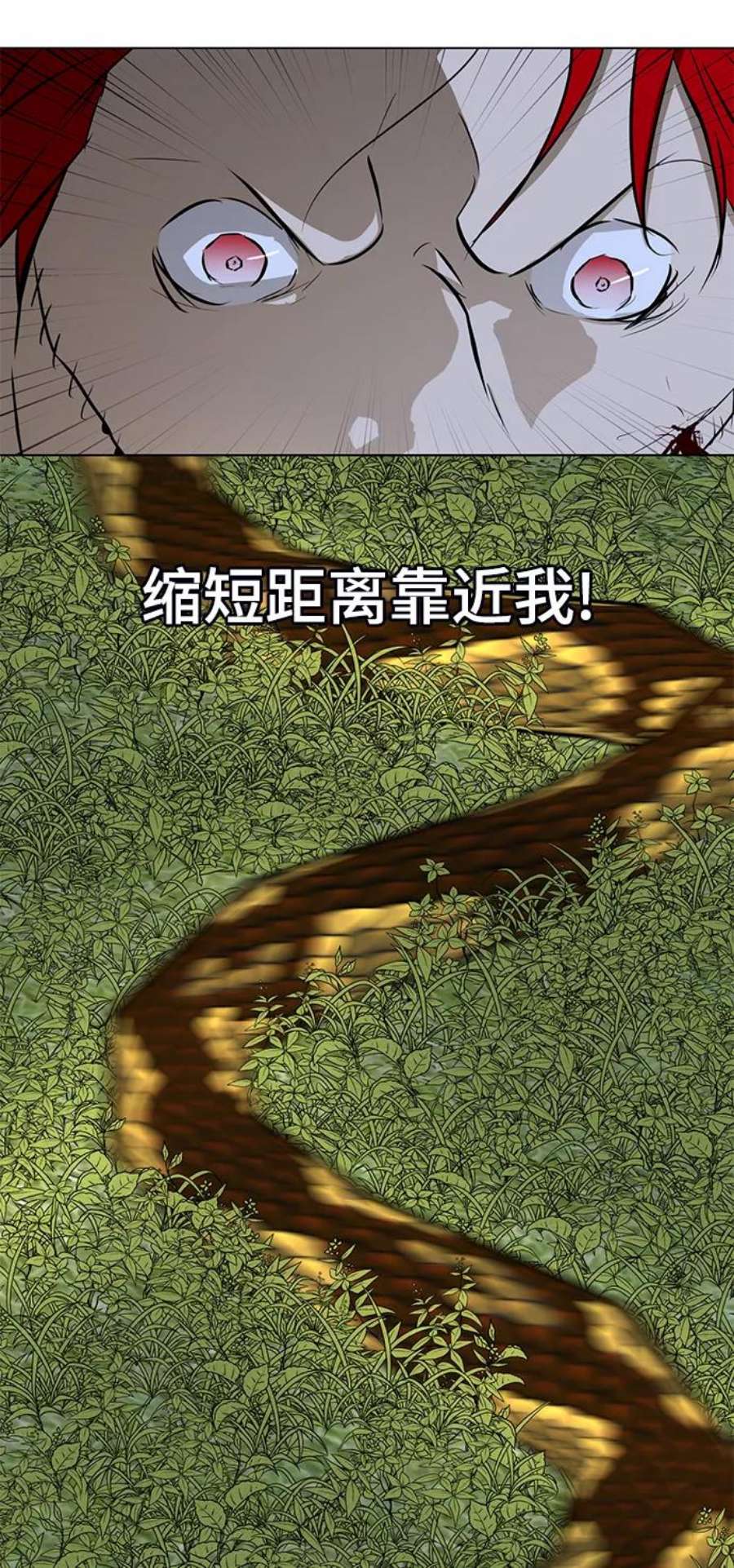 75.jpg
