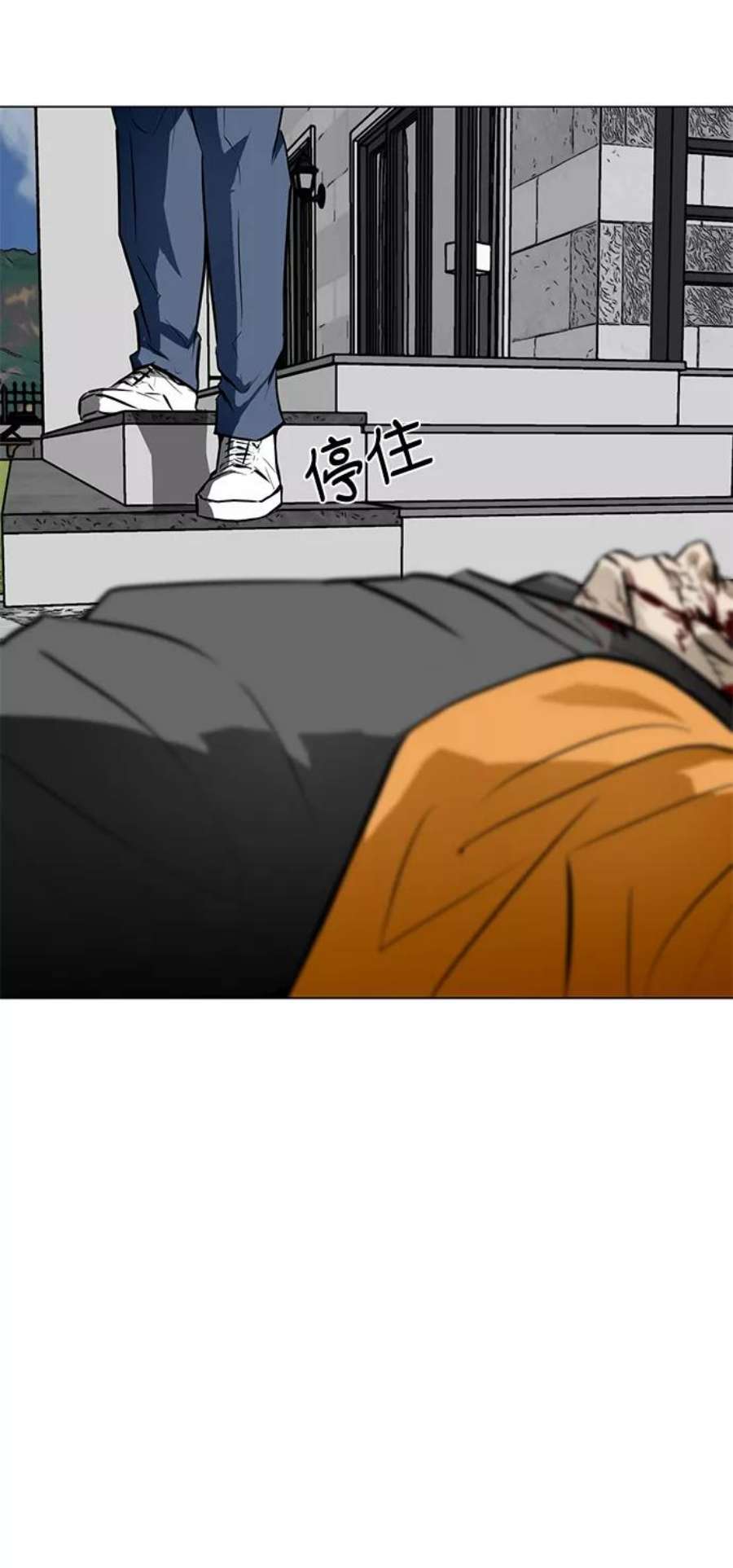 95.jpg