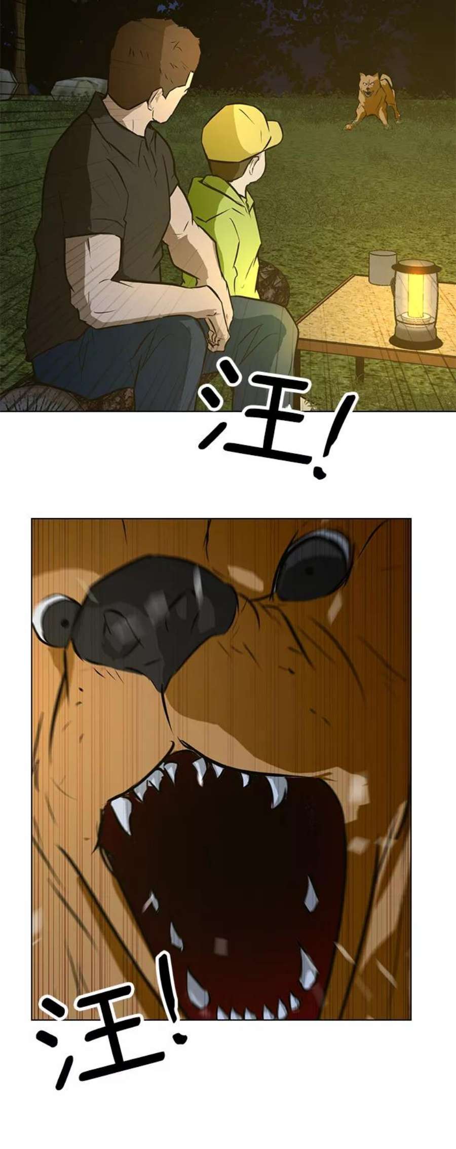 24.jpg