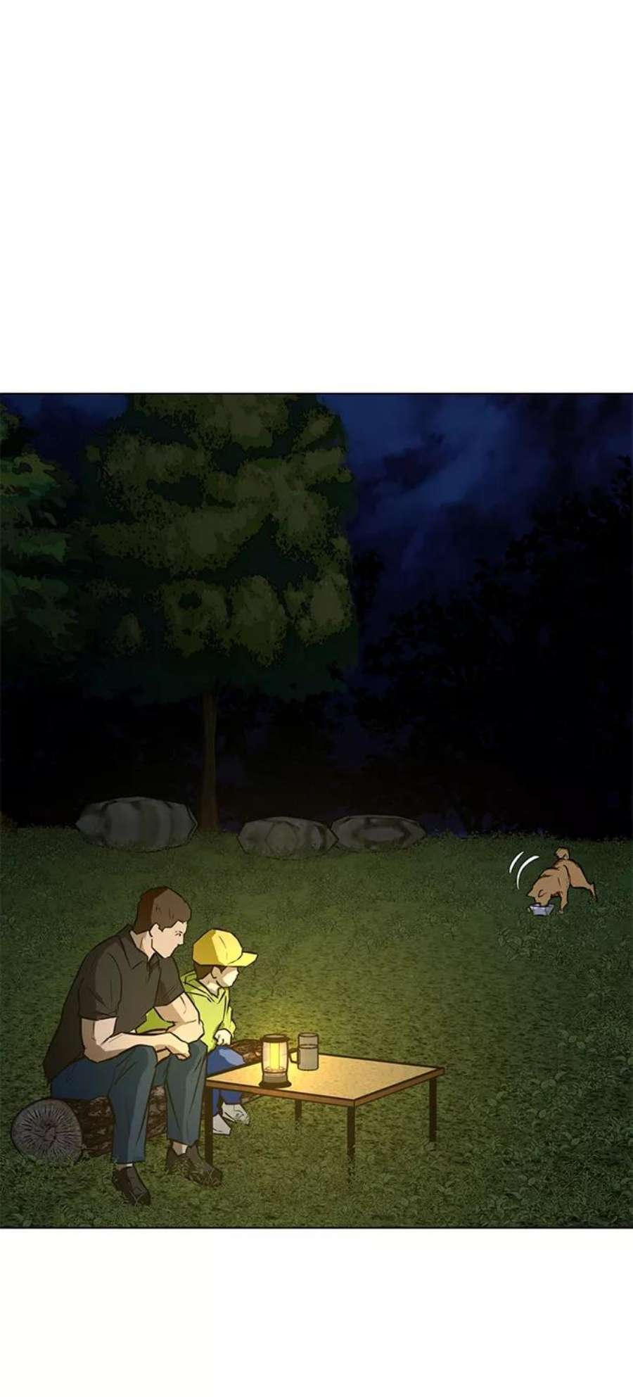 12.jpg