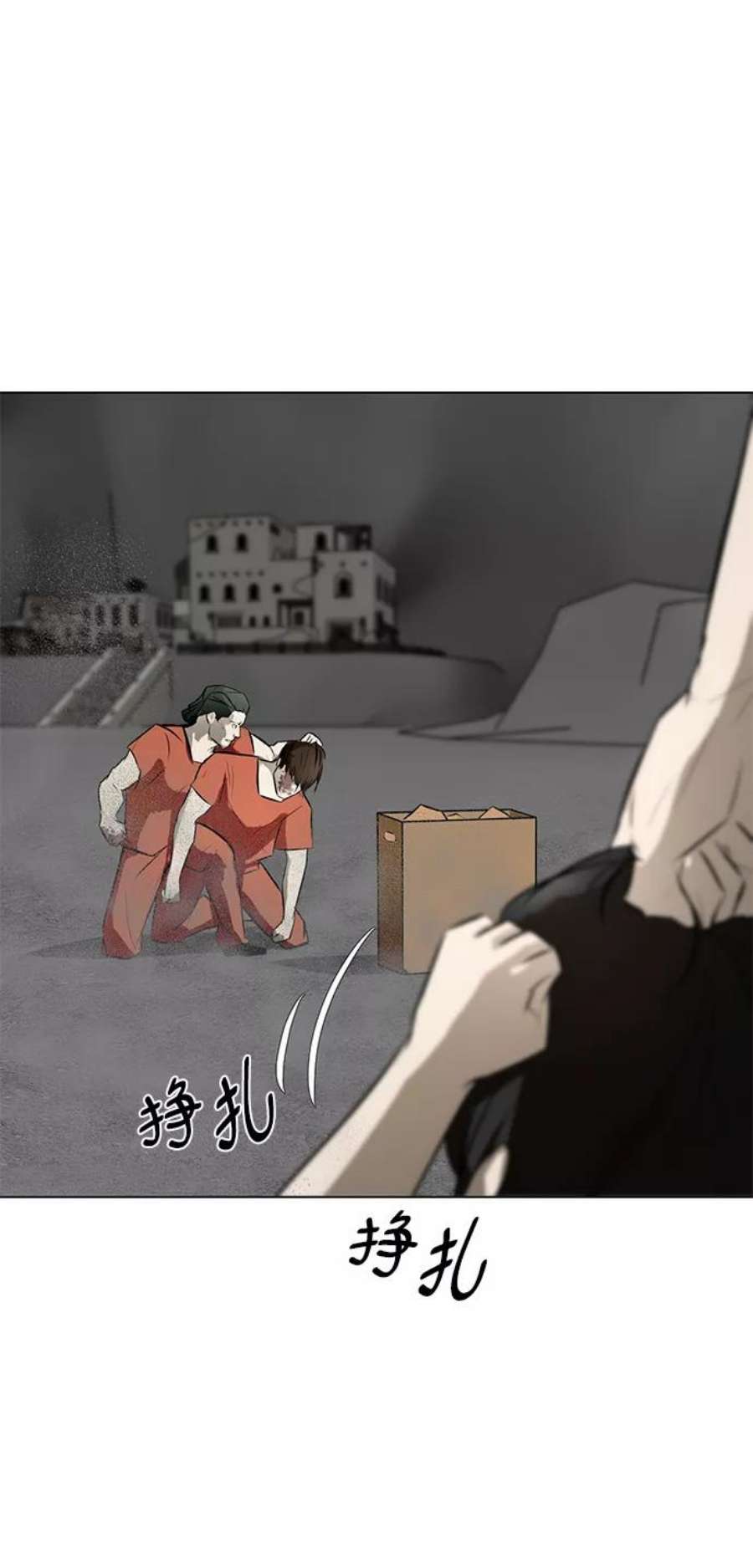 43.jpg