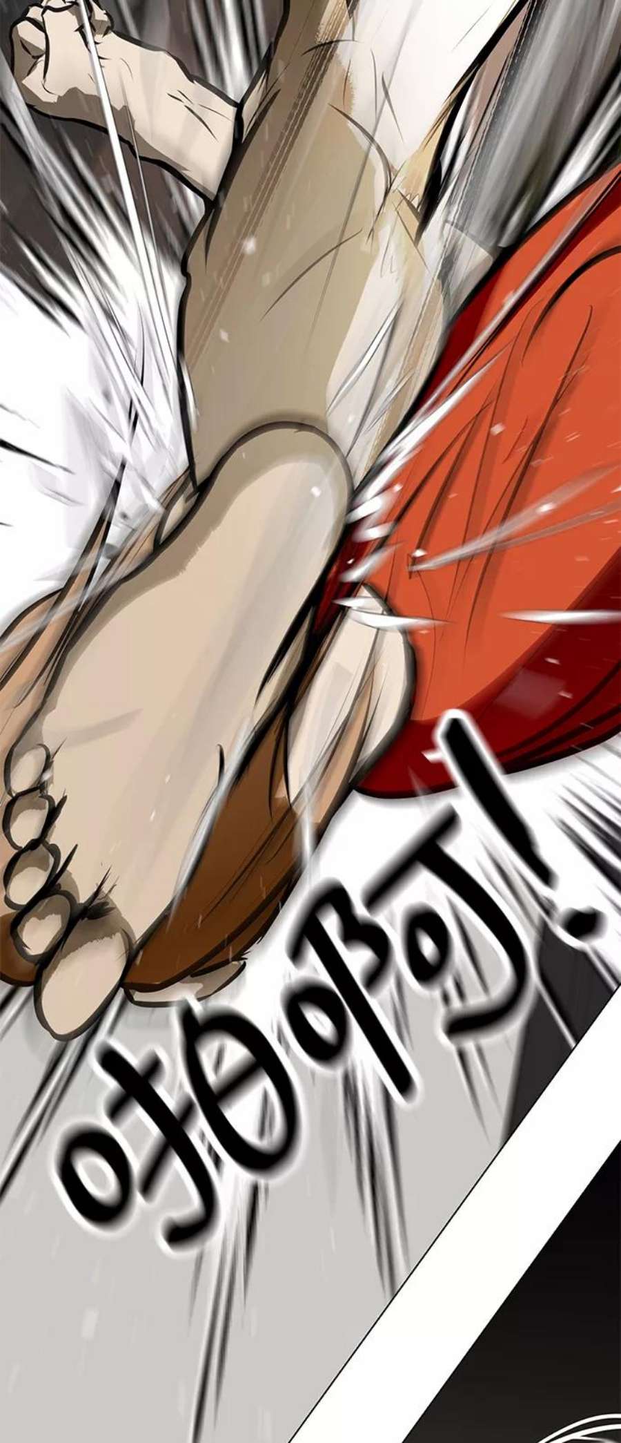 55.jpg