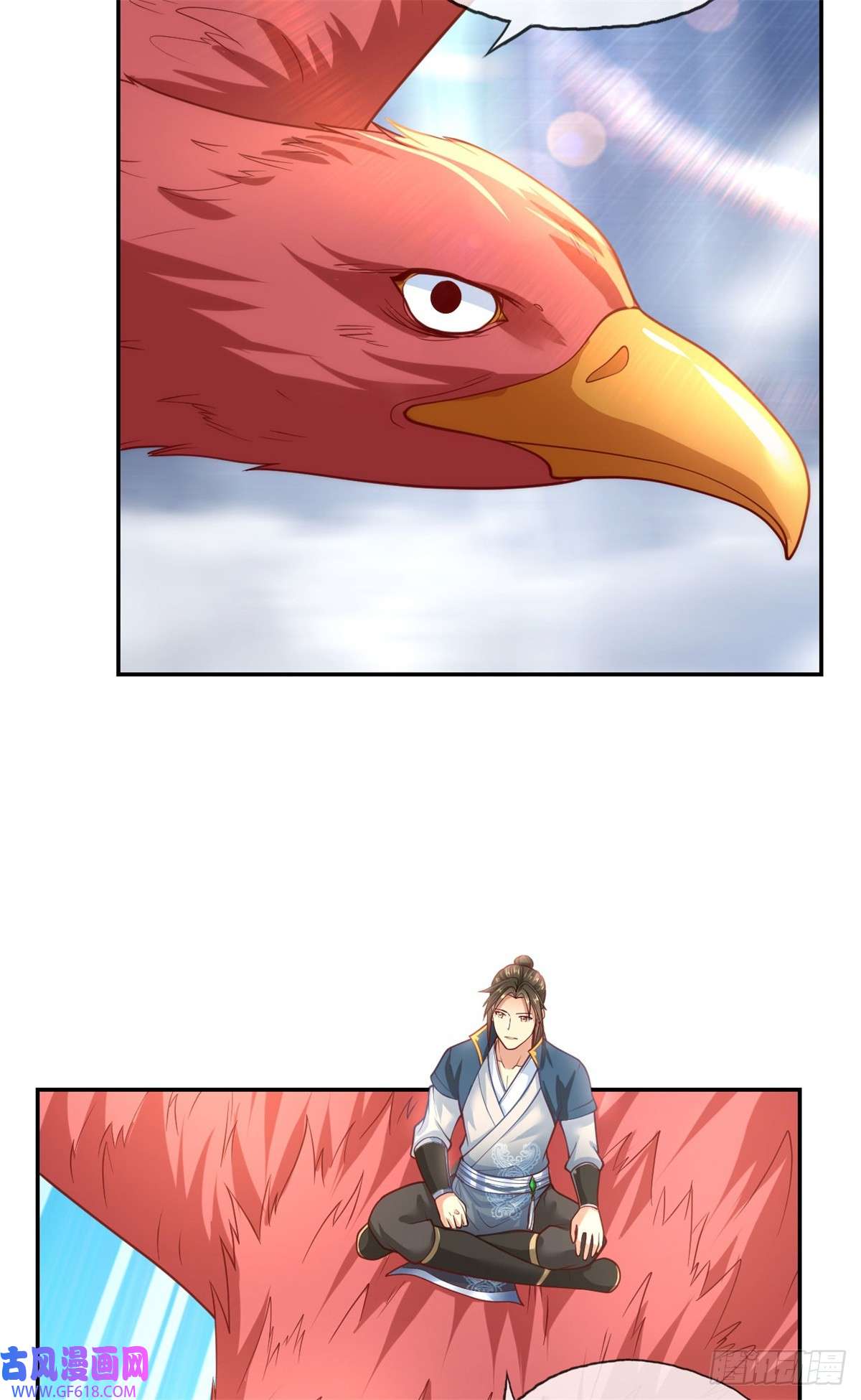 16.jpg