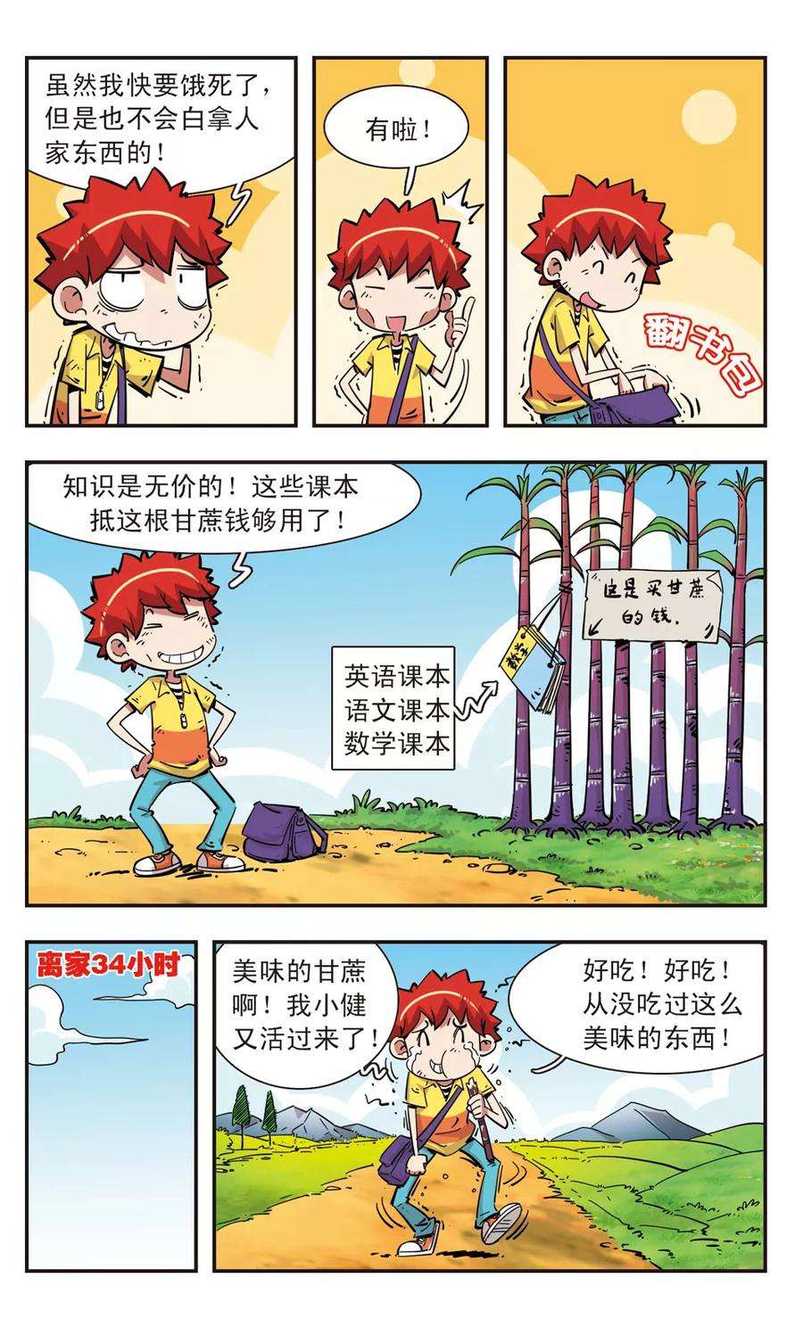 13.jpg