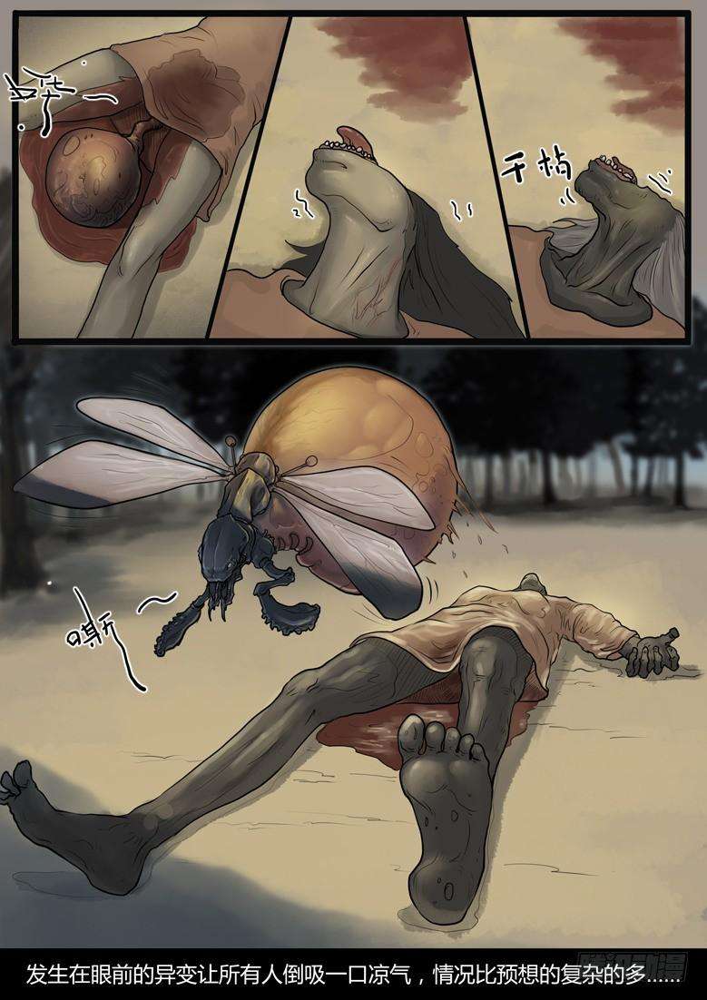 7.jpg