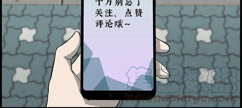 113.jpg