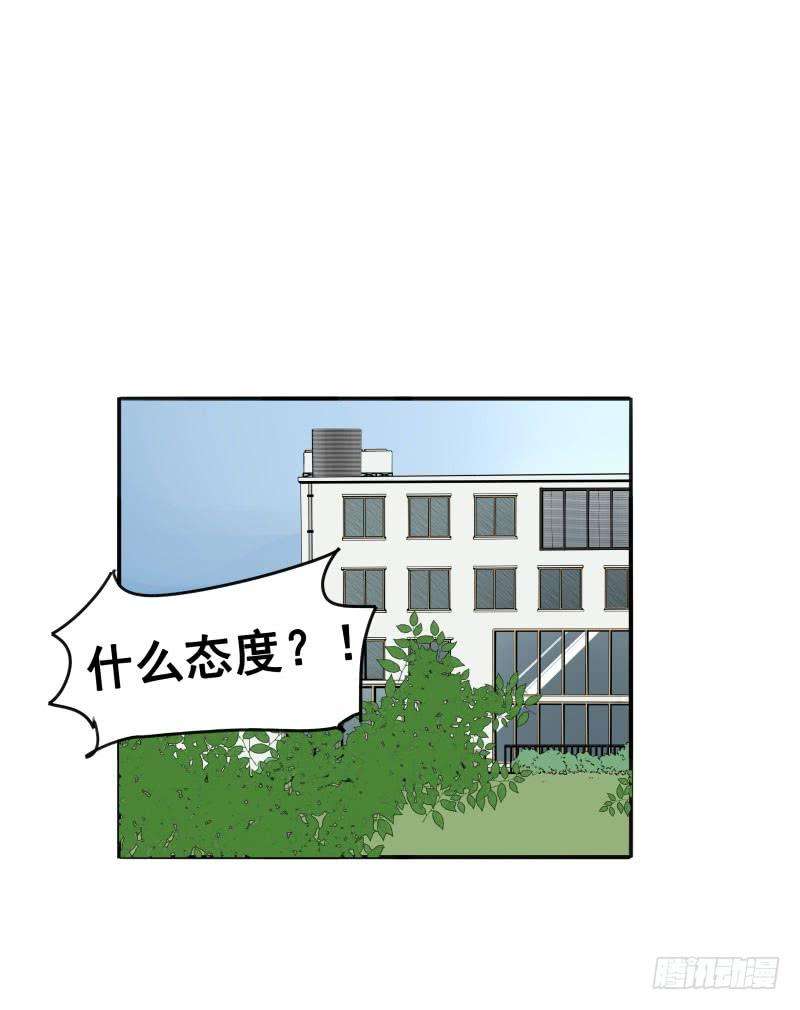 46.jpg