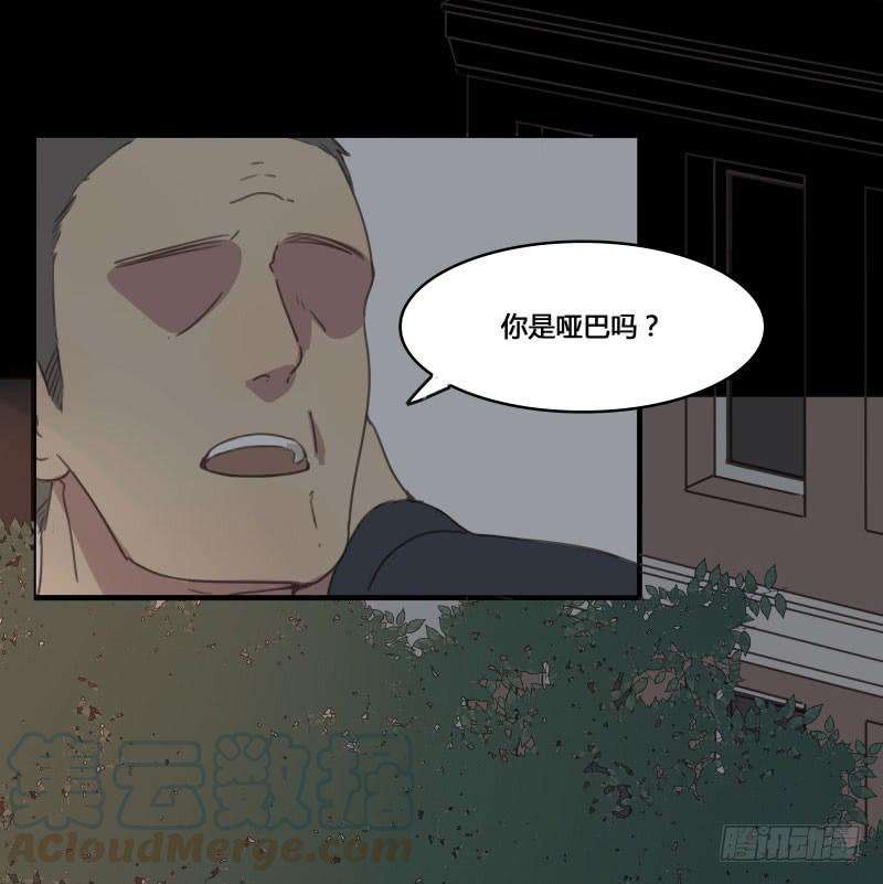 51.jpg