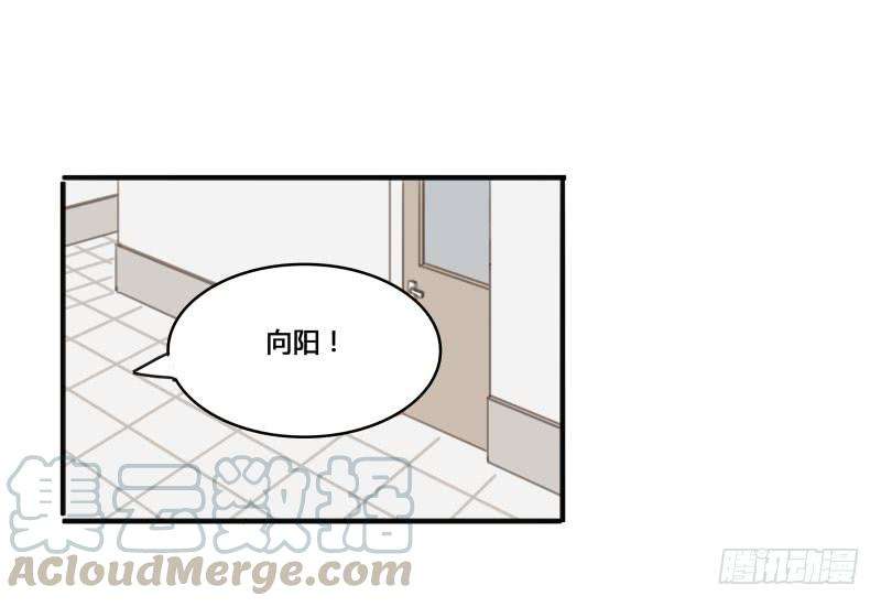 61.jpg