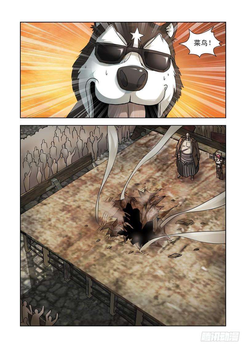 11.jpg