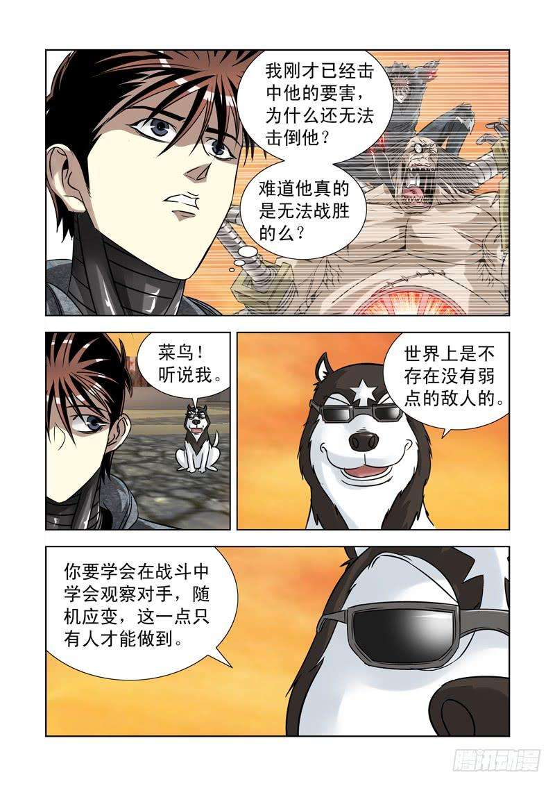 5.jpg