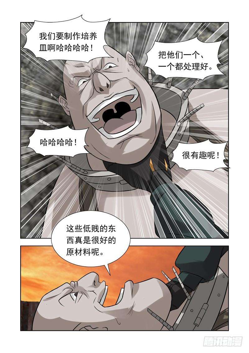 13.jpg