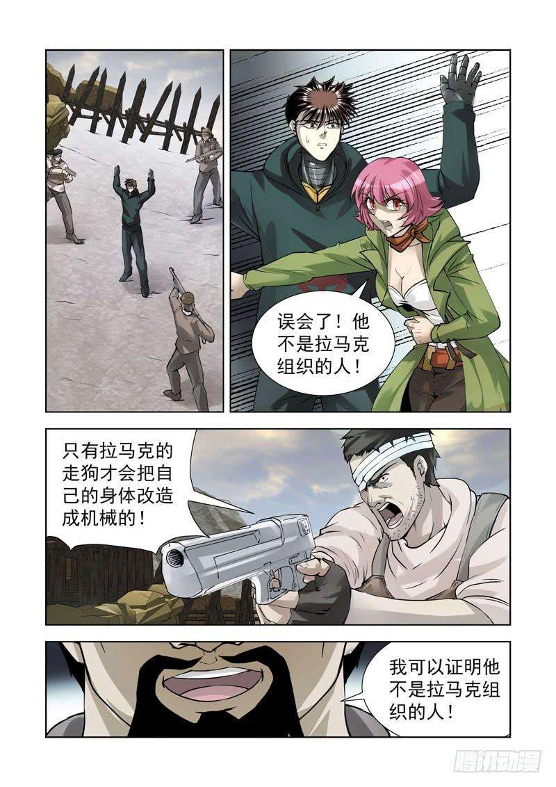 11.jpg