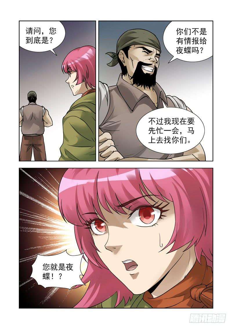13.jpg