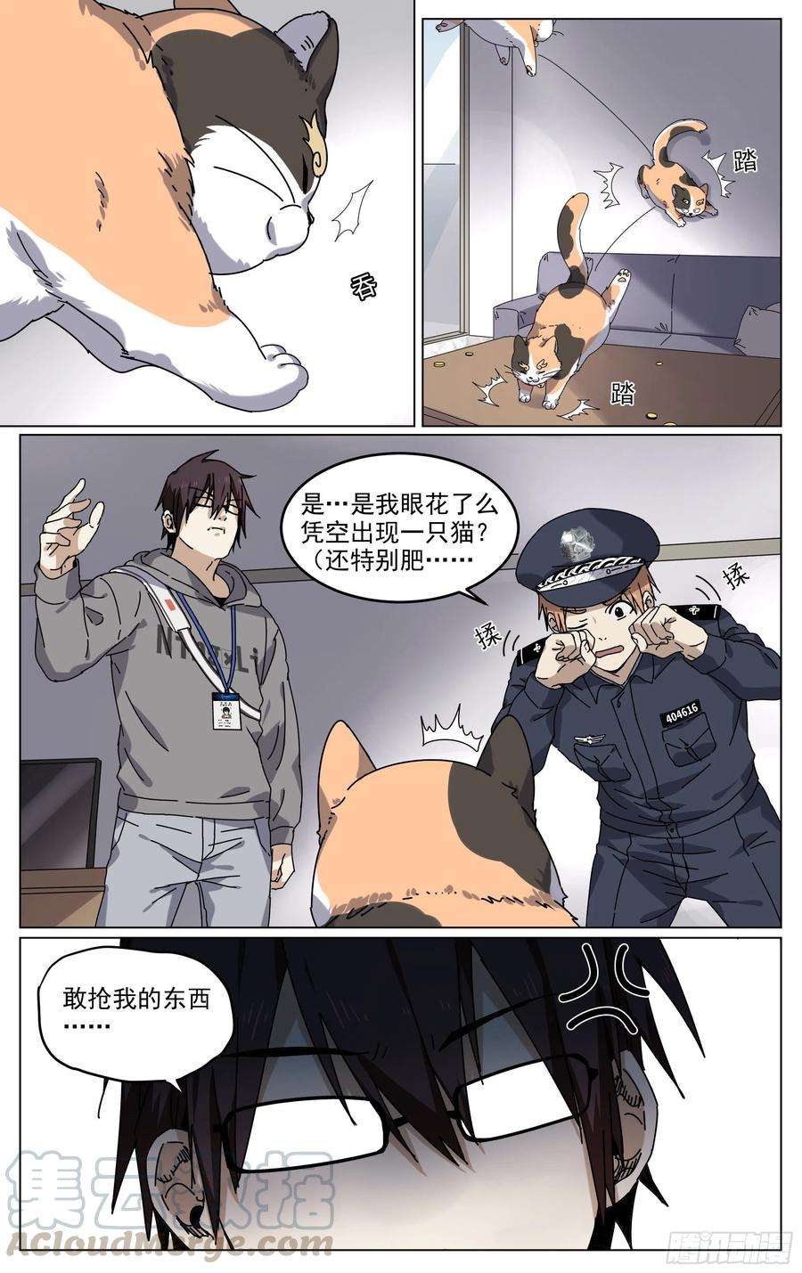 13.jpg