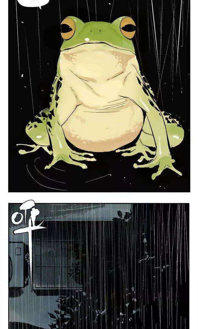 35.jpg
