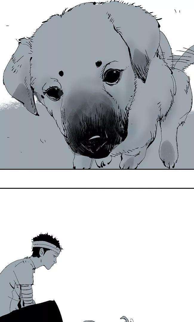 46.jpg