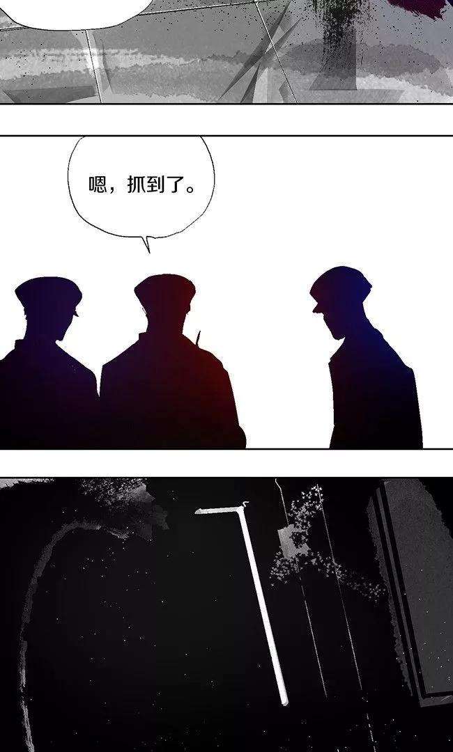 74.jpg