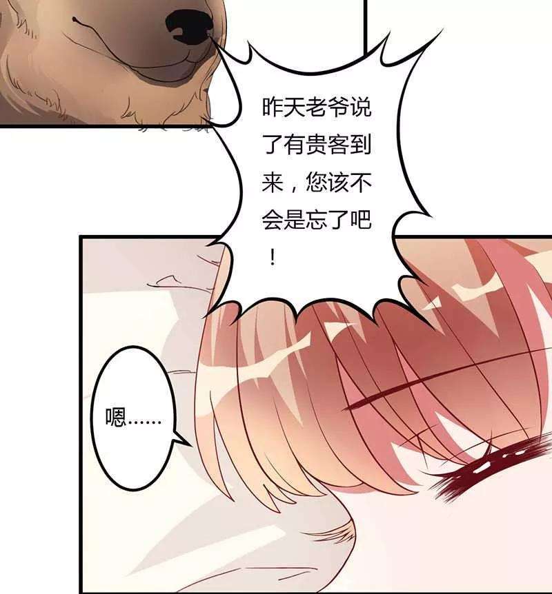 33.jpg