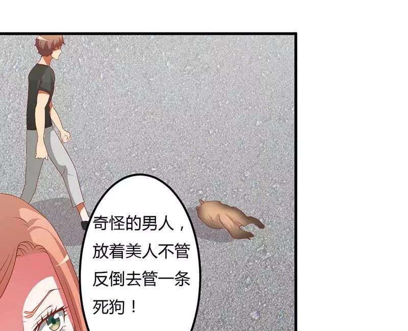 27.jpg