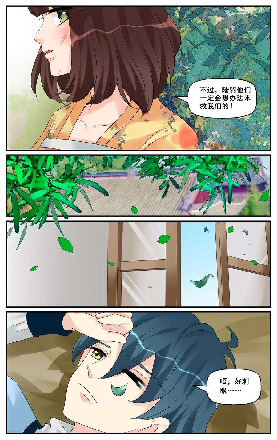 6.jpg