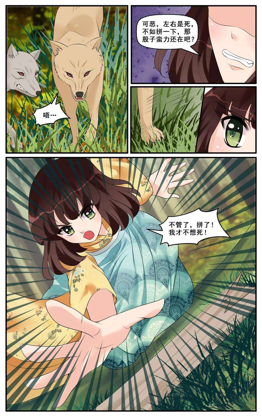 6.jpg