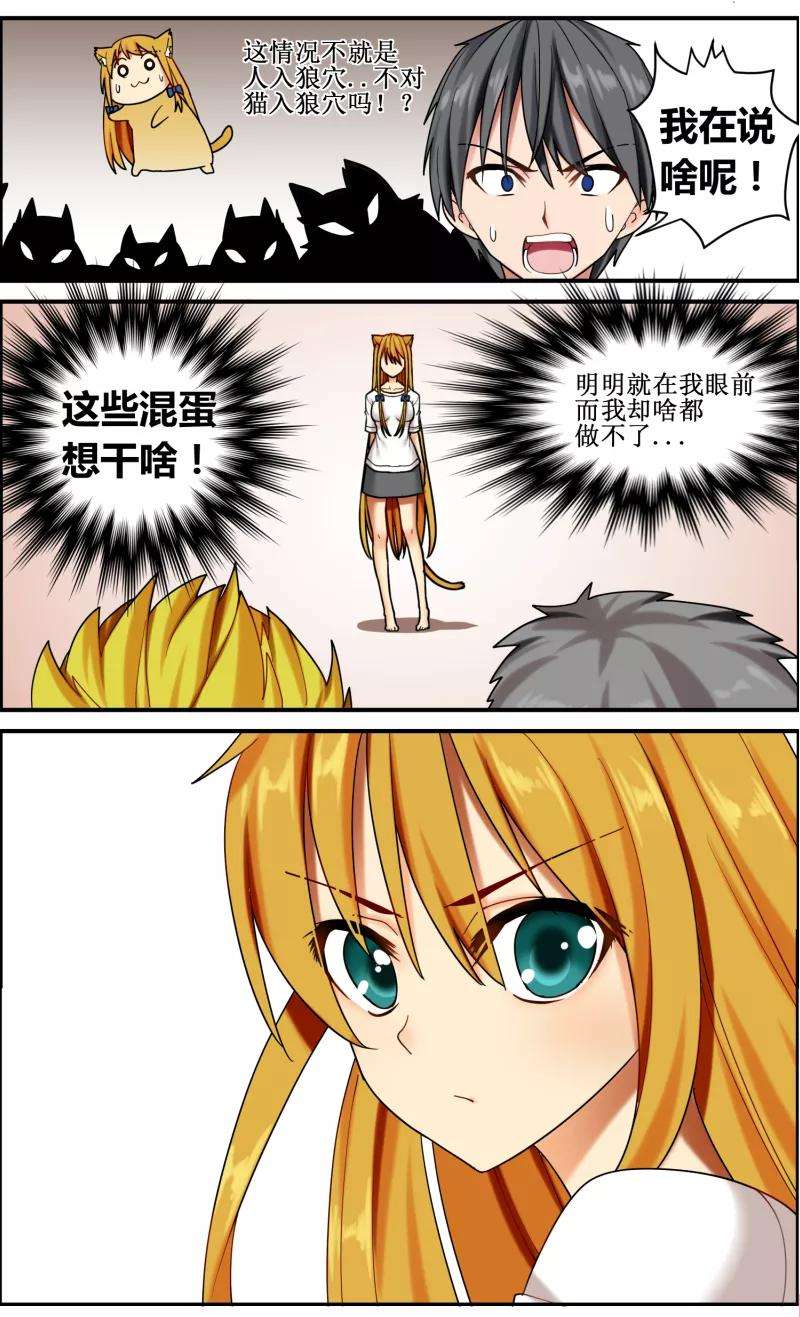 13.jpg