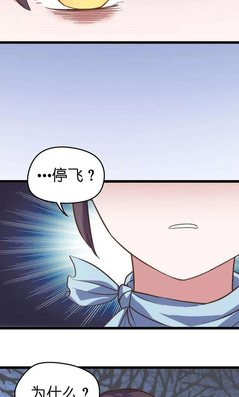 62.jpg