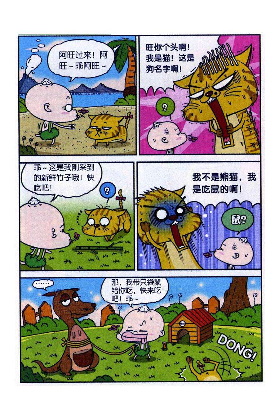 15.jpg