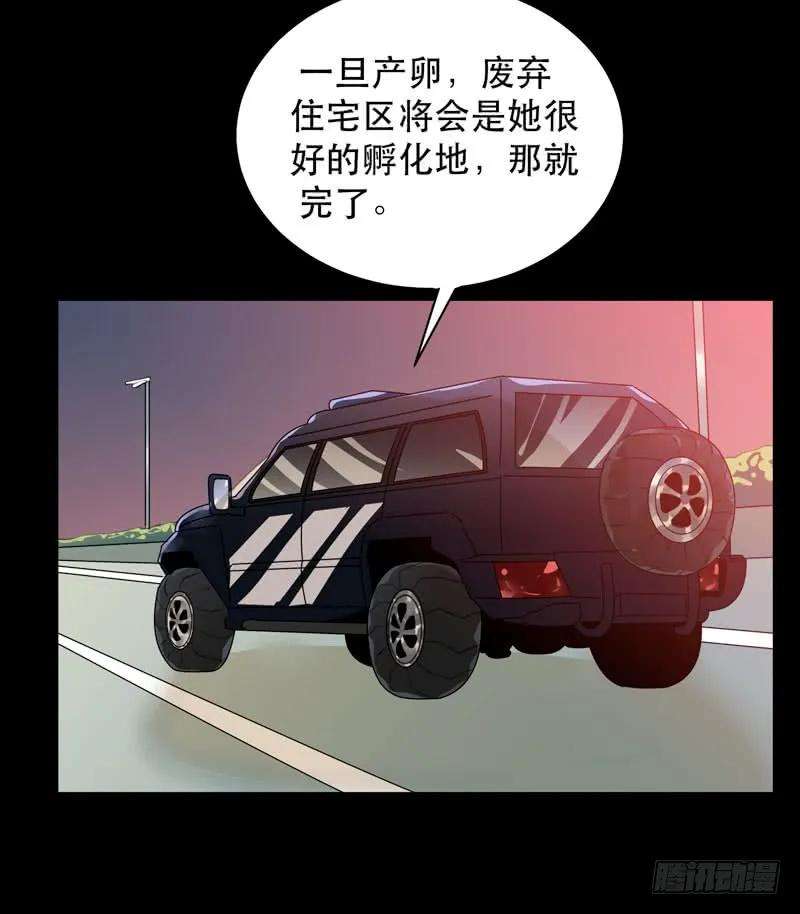 39.jpg