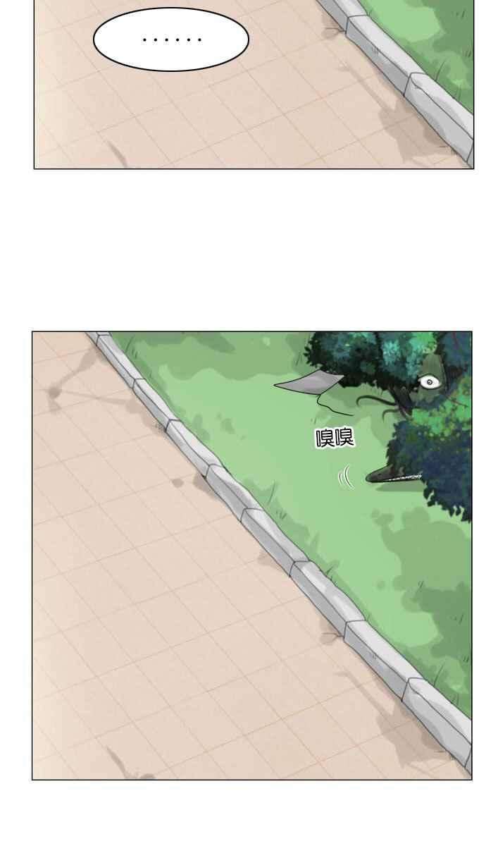 56.jpg