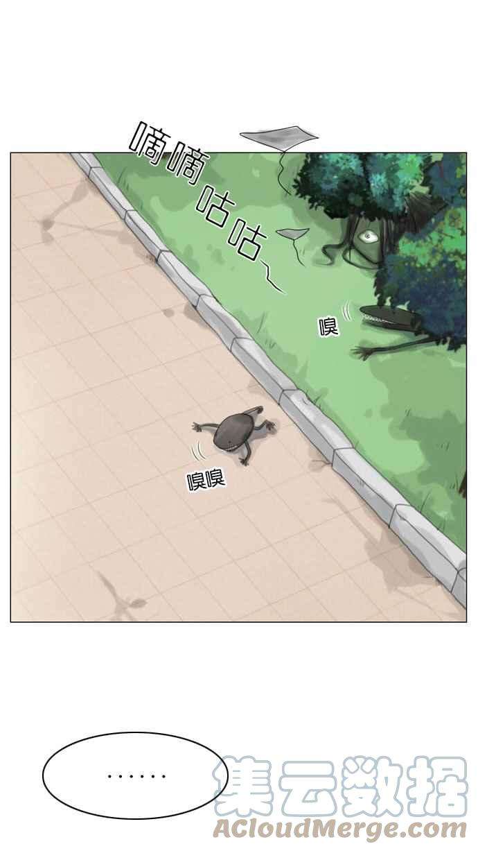 52.jpg