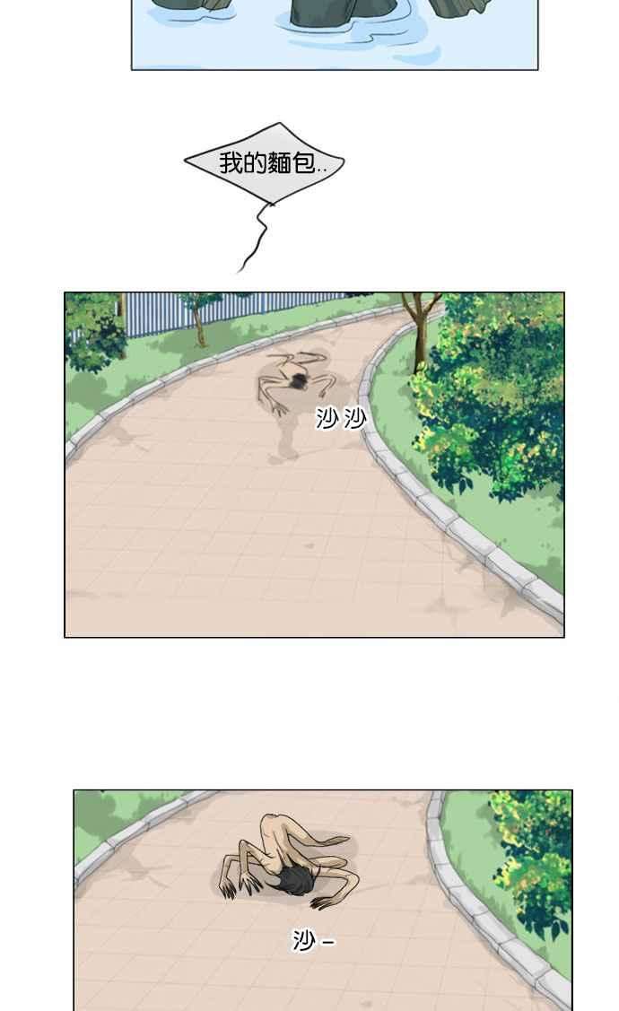 33.jpg