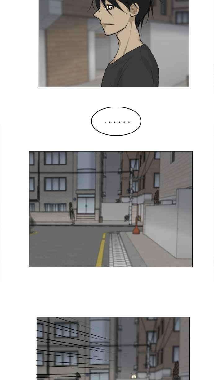 41.jpg