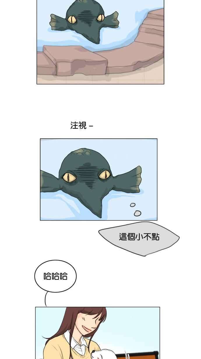 41.jpg