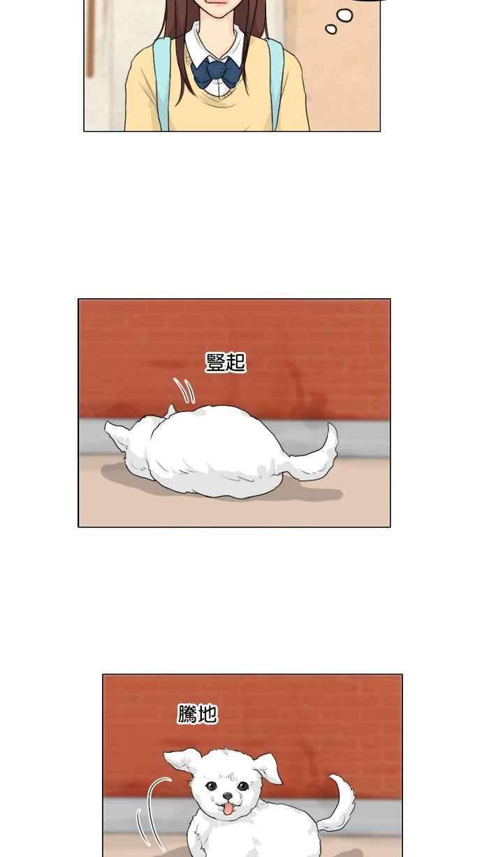 29.jpg