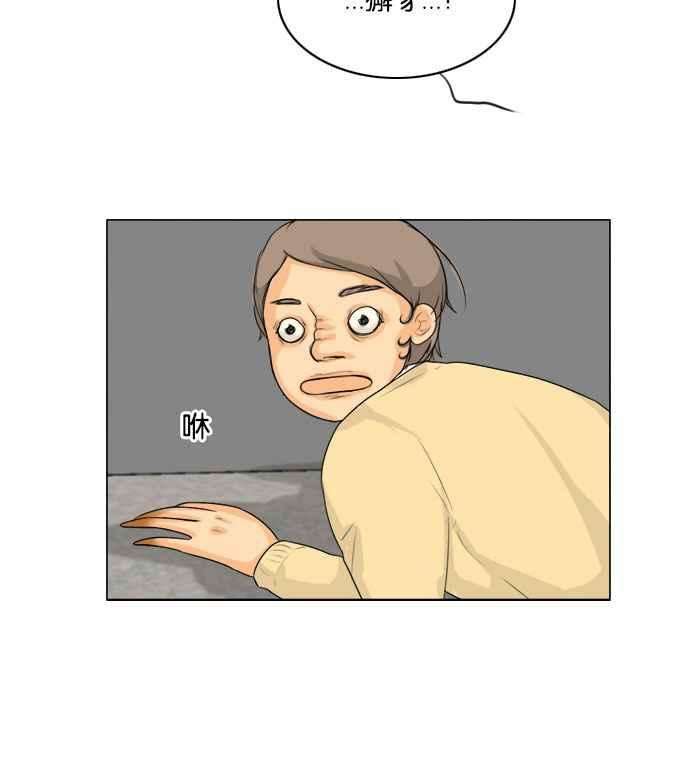 41.jpg
