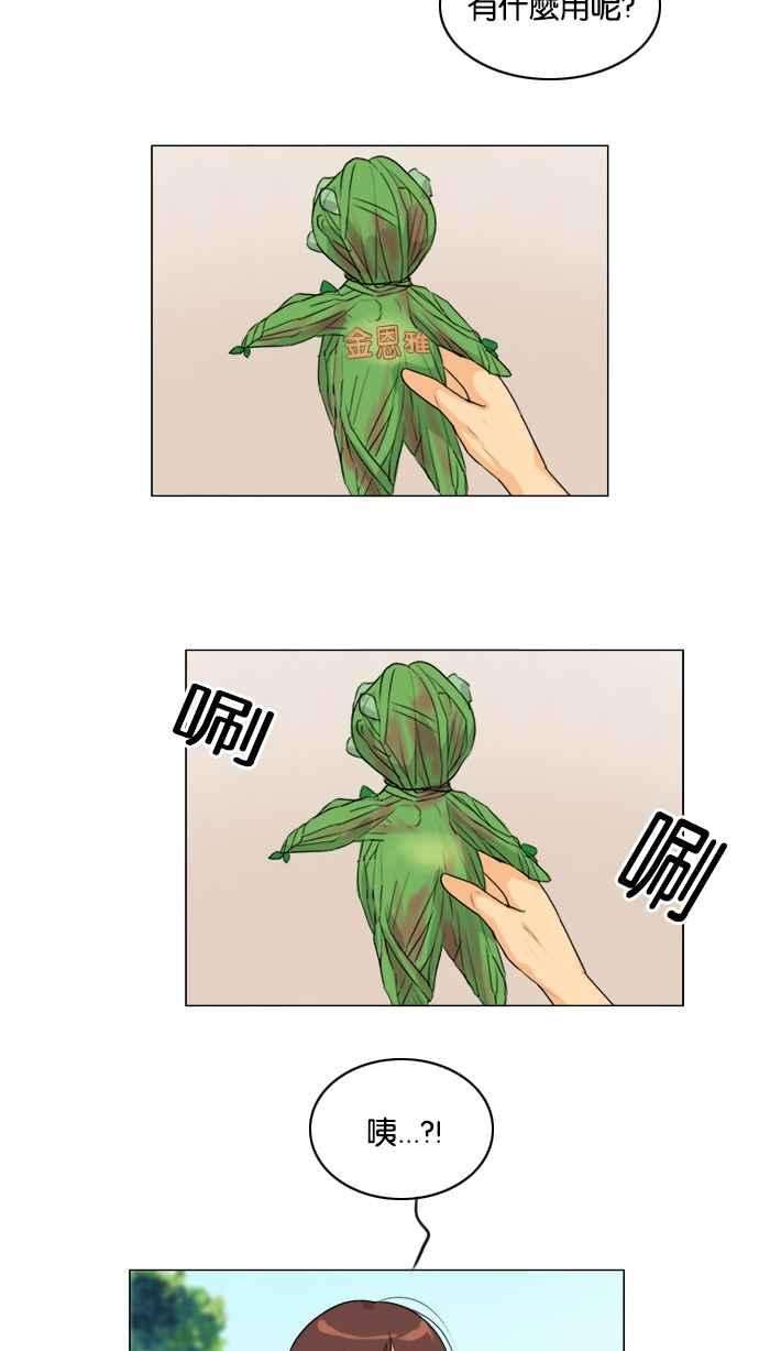 26.jpg